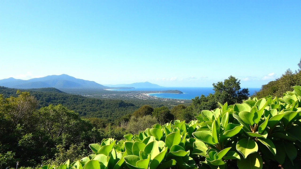 Recorde de Frio em Florianópolis: Temperatura Mais Baixa em 8 Anos