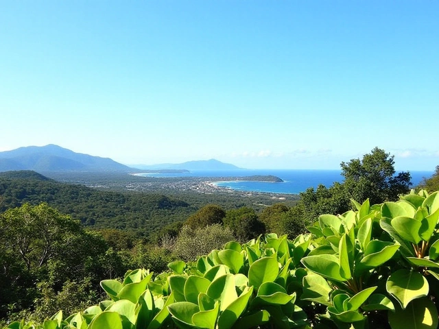 Recorde de Frio em Florianópolis: Temperatura Mais Baixa em 8 Anos